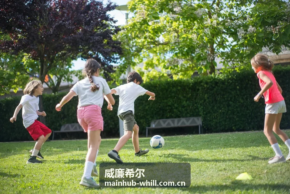 威廉希尔流程优化服务